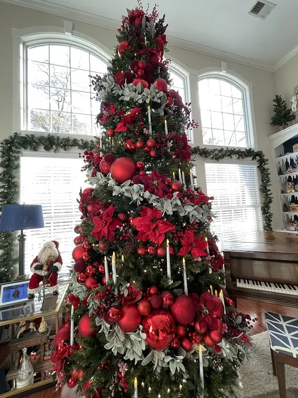 Chapin SC Holiday Open House decorated home
